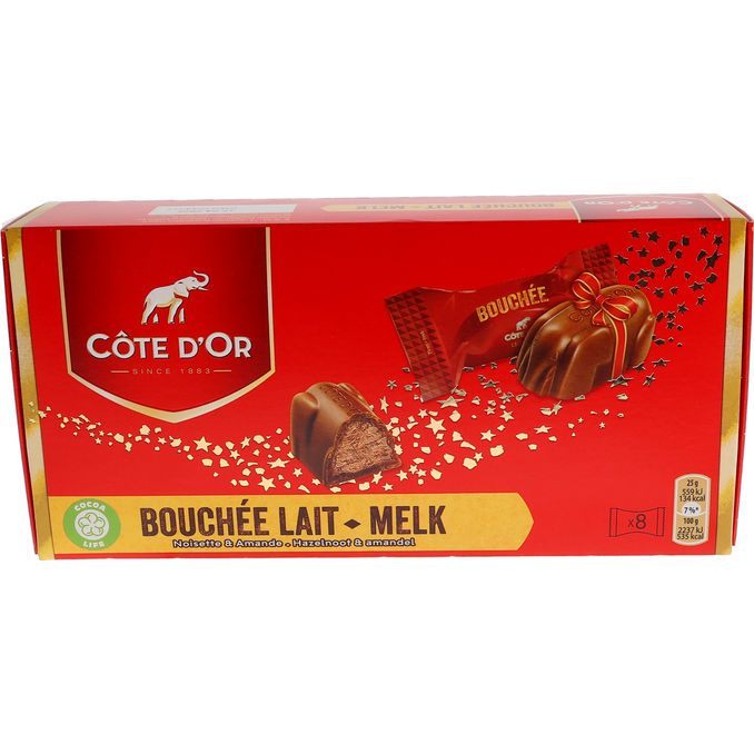 Côte D'or Mjölkchoklad Nougat & Nötter