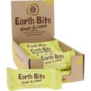 Earth Bite Eko Rawbar Ingefära & Citron 12-pack 