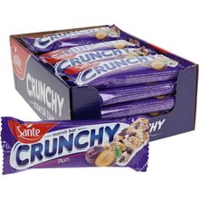 Crunchy Bar med Blomme og Yoghurt