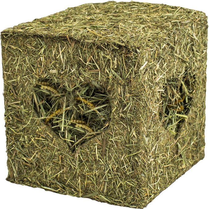 JR Farm Heu-Würfel mit Mehlwürmern