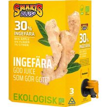 Øko Æble- og Ingefærjuice