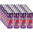 Wostok BIO Schwarztee Himbeere, Guave & Passionsfrucht, 24er Pack (EINWEG) zzgl. Pfand