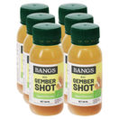 Bangs BIO Ingwer-Shot mit Apfel-Zitrone, 6er Pack