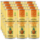 Seicha BIO Matcha Tee Ananas & Minze, 12er Pack (EINWEG) zzgl. Pfand