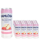 Ramlösa Hallon Äpple 20-Pack