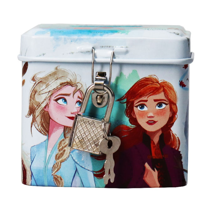 Frozen Kekse mit Schokoladentropfen (Secret Box)