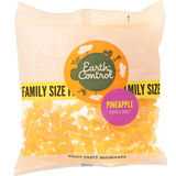 Earth Control Torkad Ananas Family Size