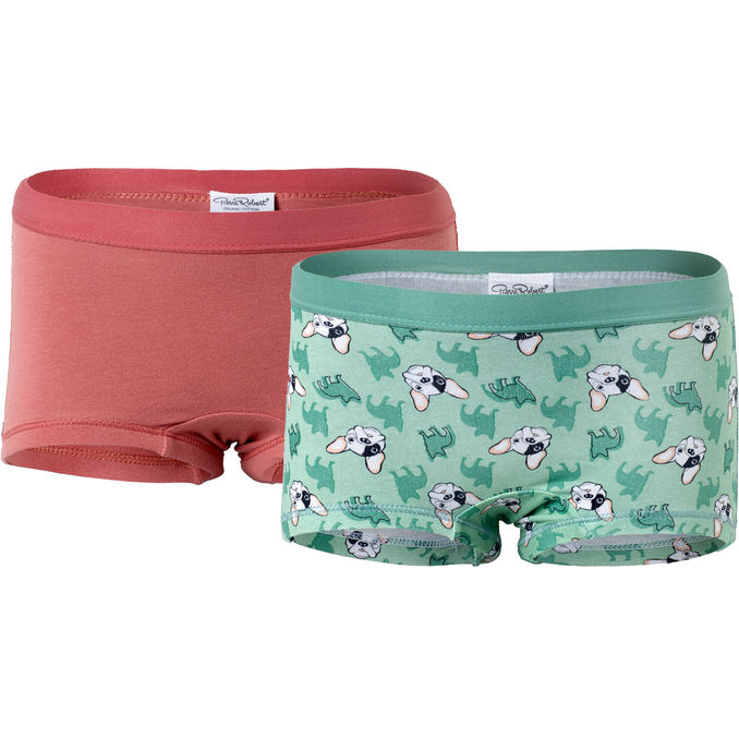 Trosor Boxer Barn Ljusgrön 2pack Stl 110/116, 2 pcs från Pierre Robert