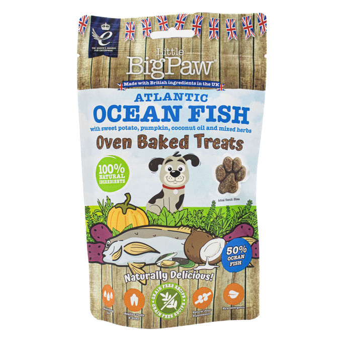 Little Big Paw Hundgodis Atlantic Ocean Fish