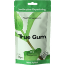 True Gum Mint Tuggummi