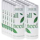 all I need BIO Grüner Tee mit Sprudel, 12er Pack