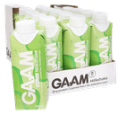 GAAM Proteinshake  Vanilla-Pear 15-pack