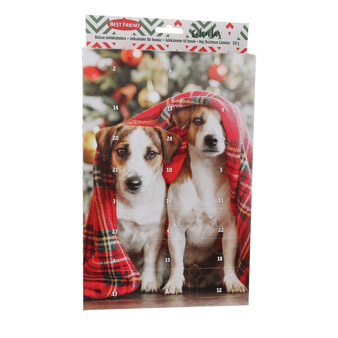 Best Friend Hund Julkalender
