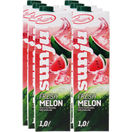 Sunju Fruchtsaftgetränk Melone, 6er Pack