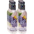 AriZona Blueberry White Tea, 6er Pack (EINWEG) zzgl. Pfand