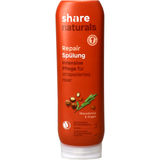 Share Spülung Repair