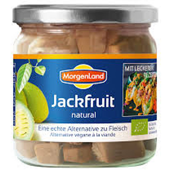 Morgenland BIO Jackfruit natural