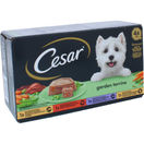 Cesar Hund Våtfoder Garden Terrine 4-pack