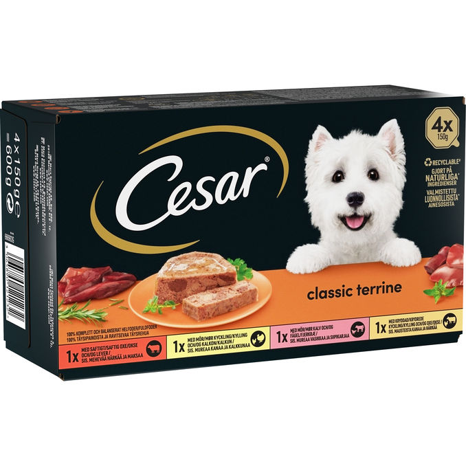 Cesar Hundevådfoder Classic Terrine 4-pak