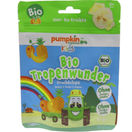 Pumpkin Organics BIO Tropenwunder Fruchtchips