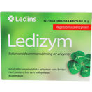 Ledins Led Ledizym 60pcs