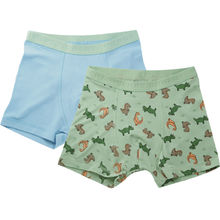 Boxershorts Drenge Lyseblå & Mintgrøn 98-104 2-pak