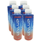 LevlUp 6-Pack Hydration Drink Shiny Dragon 0,5l