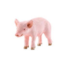 Schleich FARM WOLRD FERKEL 40g