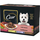 Cesar Hund Våtfoder 12-pack