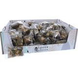 Danish Hygge Træstamme 100-pak