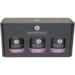 Ankerkraut GmbH Weihnachtszauber Gewürz-Box
