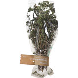 mykraut Oregano Bouquet 22g