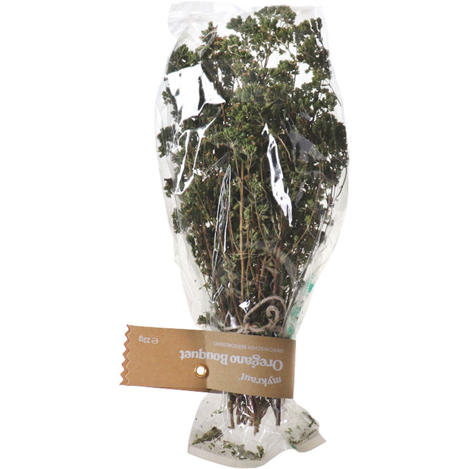 mykraut Oregano Strauch