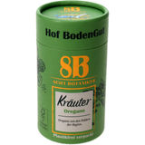 8B Küchenkräuter Oregano