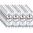 Paderborner Export, 24er Pack (EINWEG) zzgl. Pfand
