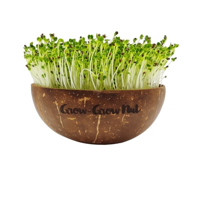 GrowGrowNut BIO Sprossen-Set