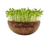 GrowGrowNut BIO Sprossen-Set