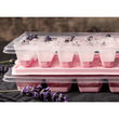 Sallys Eisbehälter für 9 Eissticks
