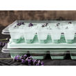 Sallys Eisbehälter für 9 Eissticks