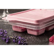 Sallys Eisbehälter für 12 Eiswürfel
