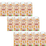 Nootz BIO Kokosnuss Papaya Smoothie, 15er Pack