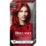 Schwarzkopf Hårfärg Brillance 842 Cashmere Red