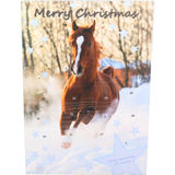 ASBA Julkalender Häst Mjölkchoklad