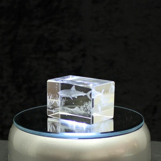 Glas Arts 3D-Kristall Hai