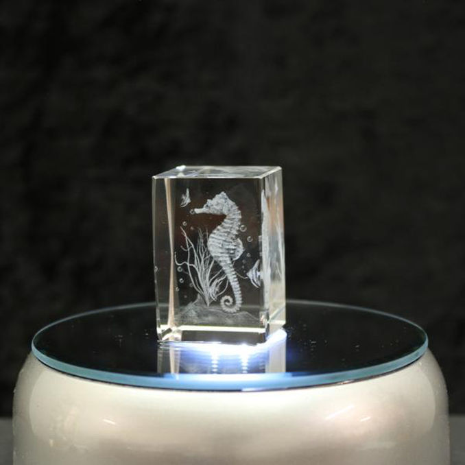 Glas Arts 3D-Kristall Seepferdchen