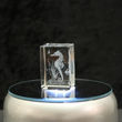 Glas Arts 3D-Kristall Seepferdchen
