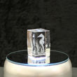 Glas Arts 3D-Kristall Seepferdchen