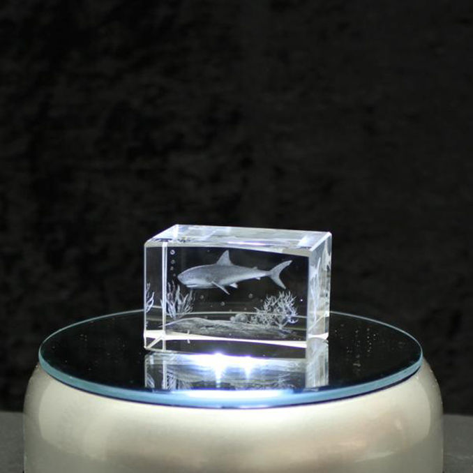 Glas Arts 3D-Kristall Hai