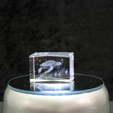 Glas Arts 3D-Kristall Wasserschildkröte