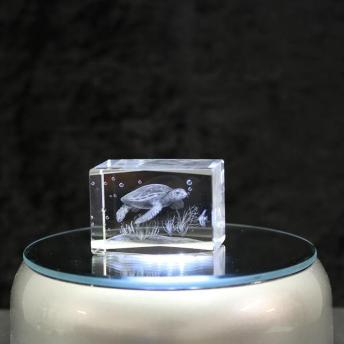 Glas Arts 3D-Kristall Wasserschildkröte